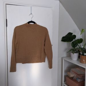 Everlane Cashmere Crop Mockneck in Camel